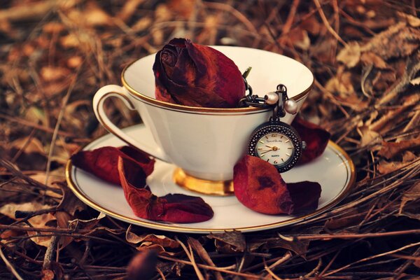 Taza y platillo en el interior con pétalos de rosa y un reloj yacen en el Suelo con hojas caídas