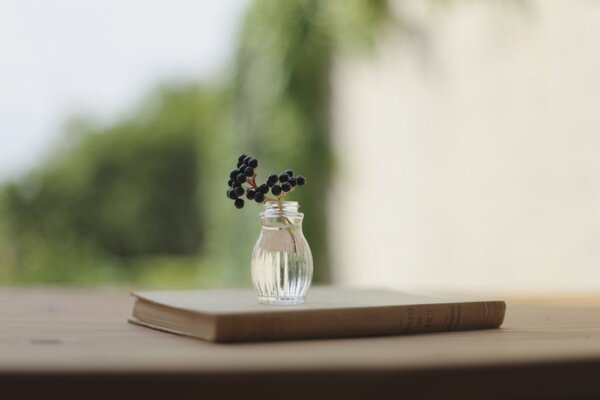 Ein Buch auf dem Tisch, mit einer Vase und einem Zweig Beeren