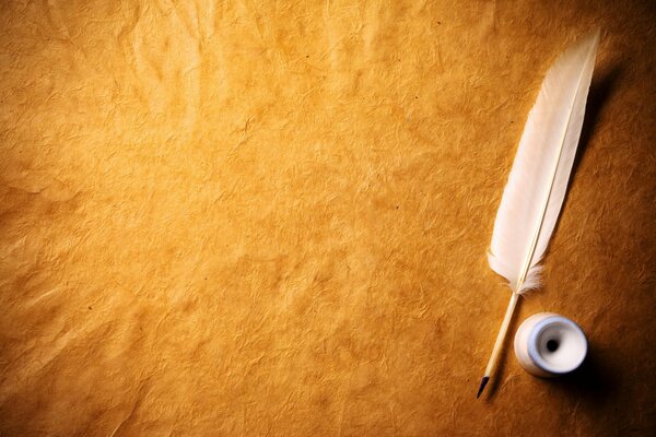 A bird s pen for writing lying on the table