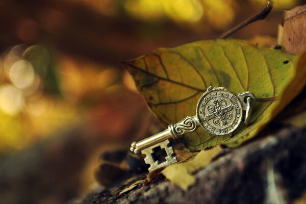 Metal head key on the foliage