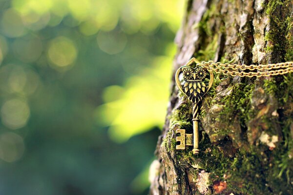 Pendentif en forme de clé avec un hibou sur un arbre