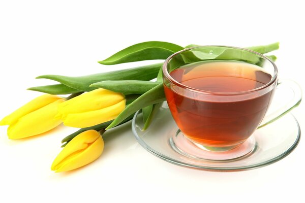 Té en una taza de vidrio con una fila de tulipanes acostados