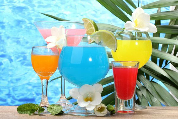 Eine Fülle von Cocktails. Blumen und Pool