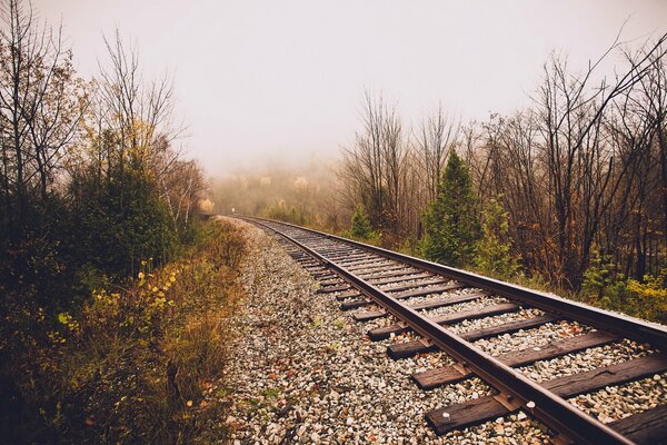 Bahn fährt im Herbstnebel ab