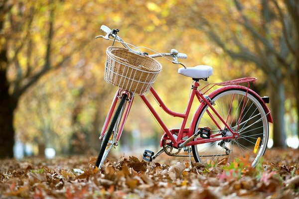 Bicicleta con cesta sobre fondo de hojas amarillas