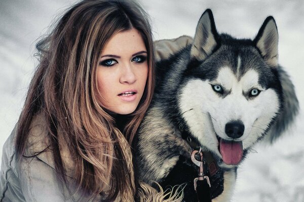 Husky mit blauen Augen und einem Mädchen