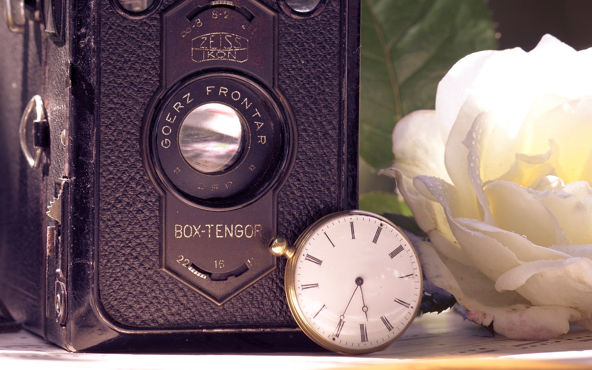 retro kamera kamera uhr tasche rose weiß blume sonne