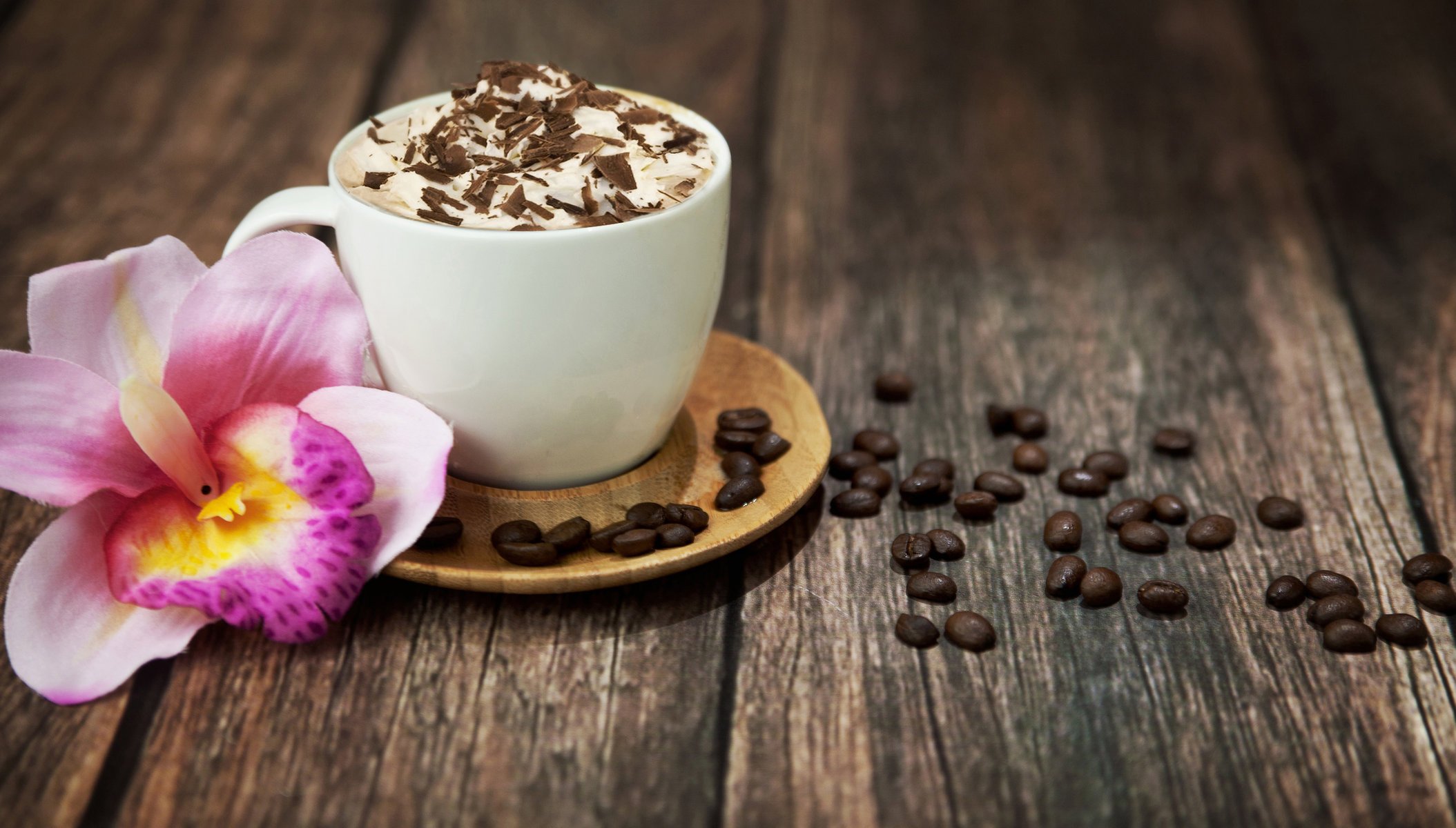 kaffee cappuccino trinken schaum schokolade körner tasse orchidee rosa blume