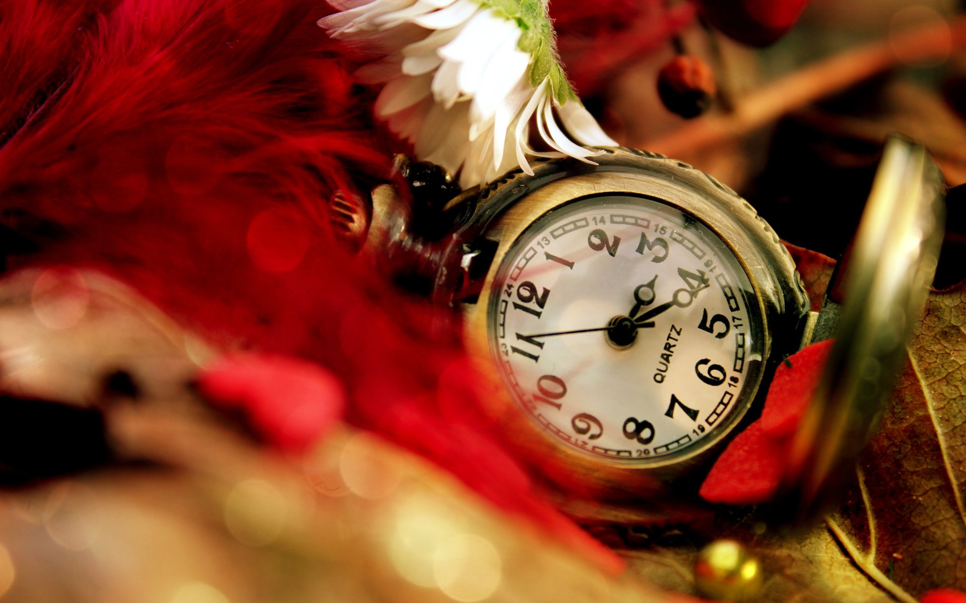 montre poche feuilles plumes rouge marguerite fleur