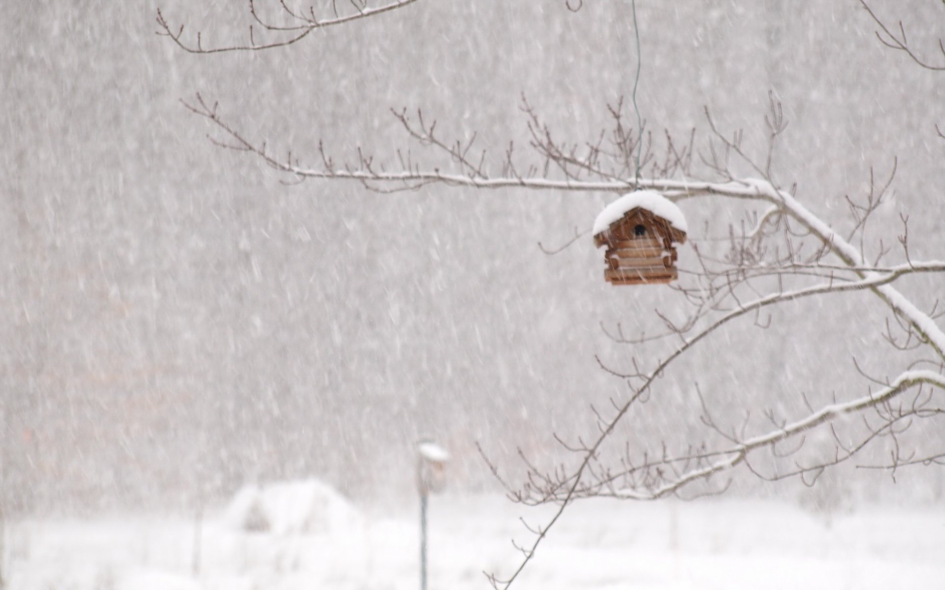 winter blizzard house