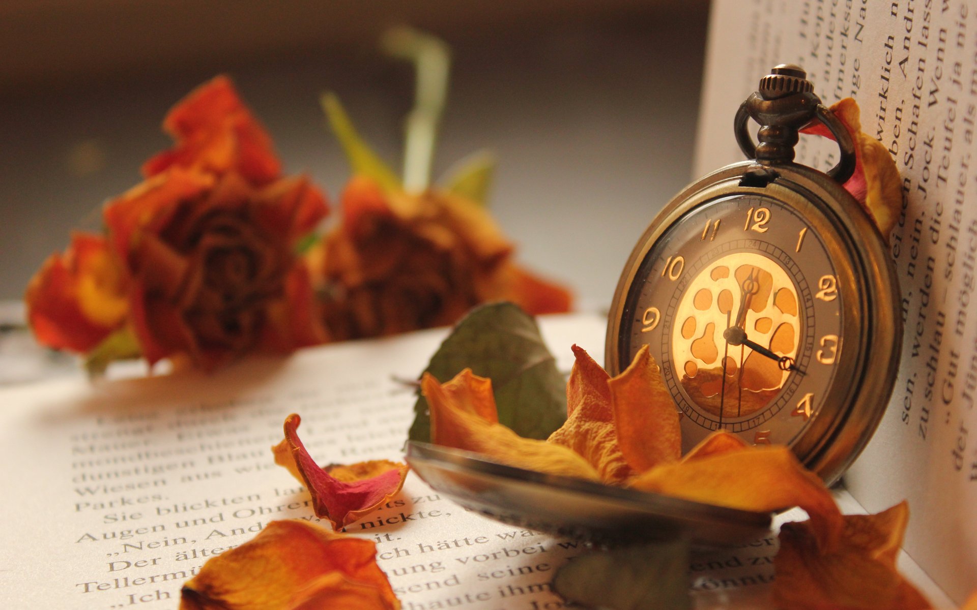 book roses flower watches pocket petal