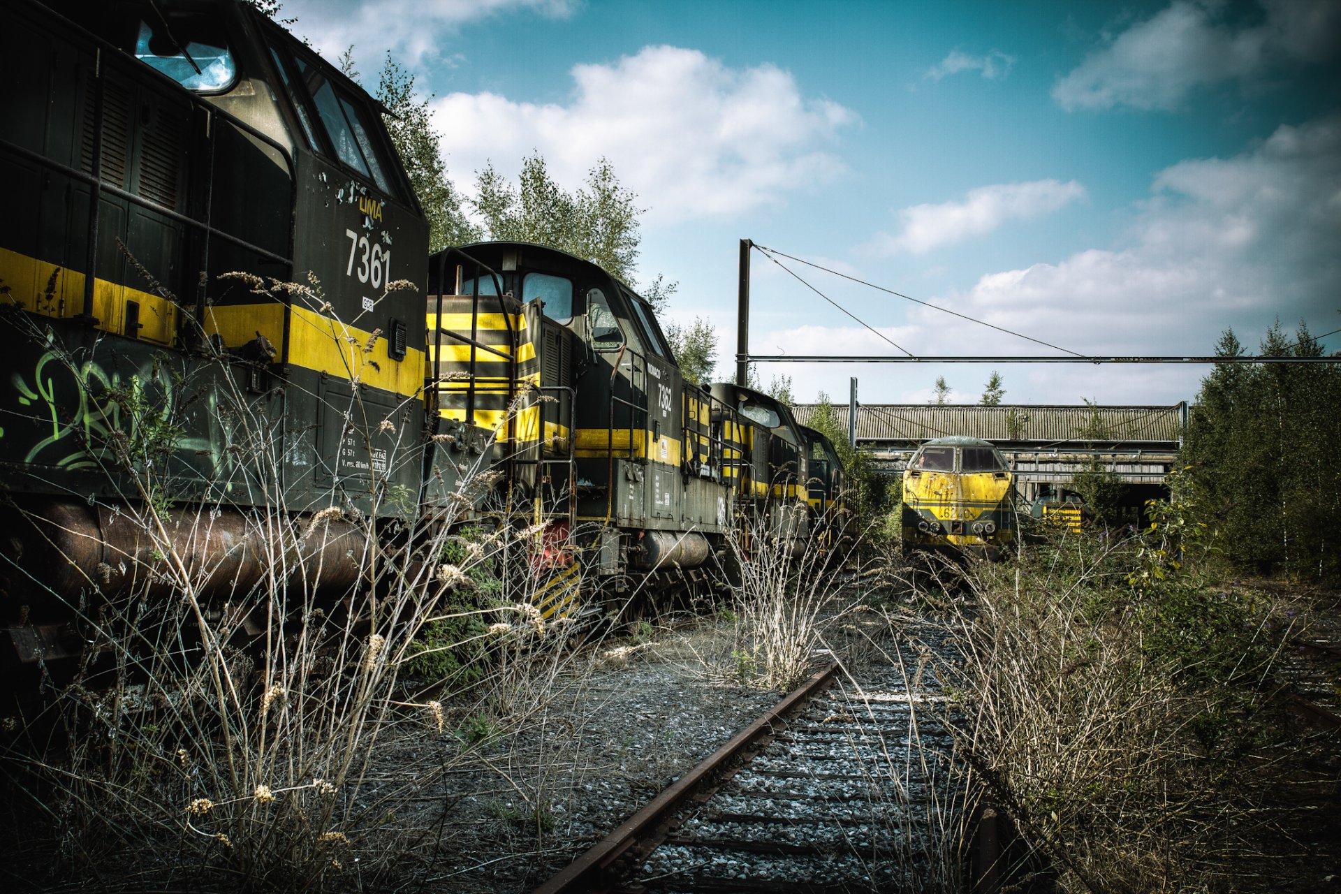 train rails chemin de fer wagons herbe sec