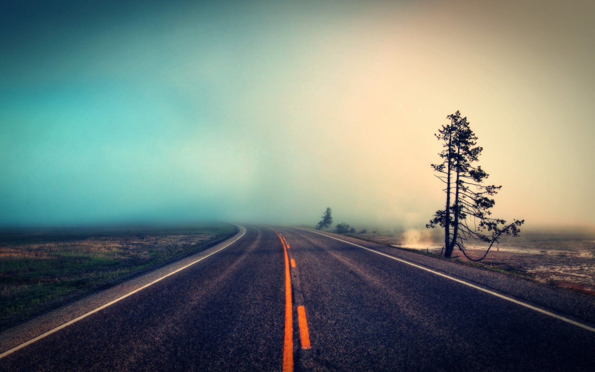 straße nebel baum natur