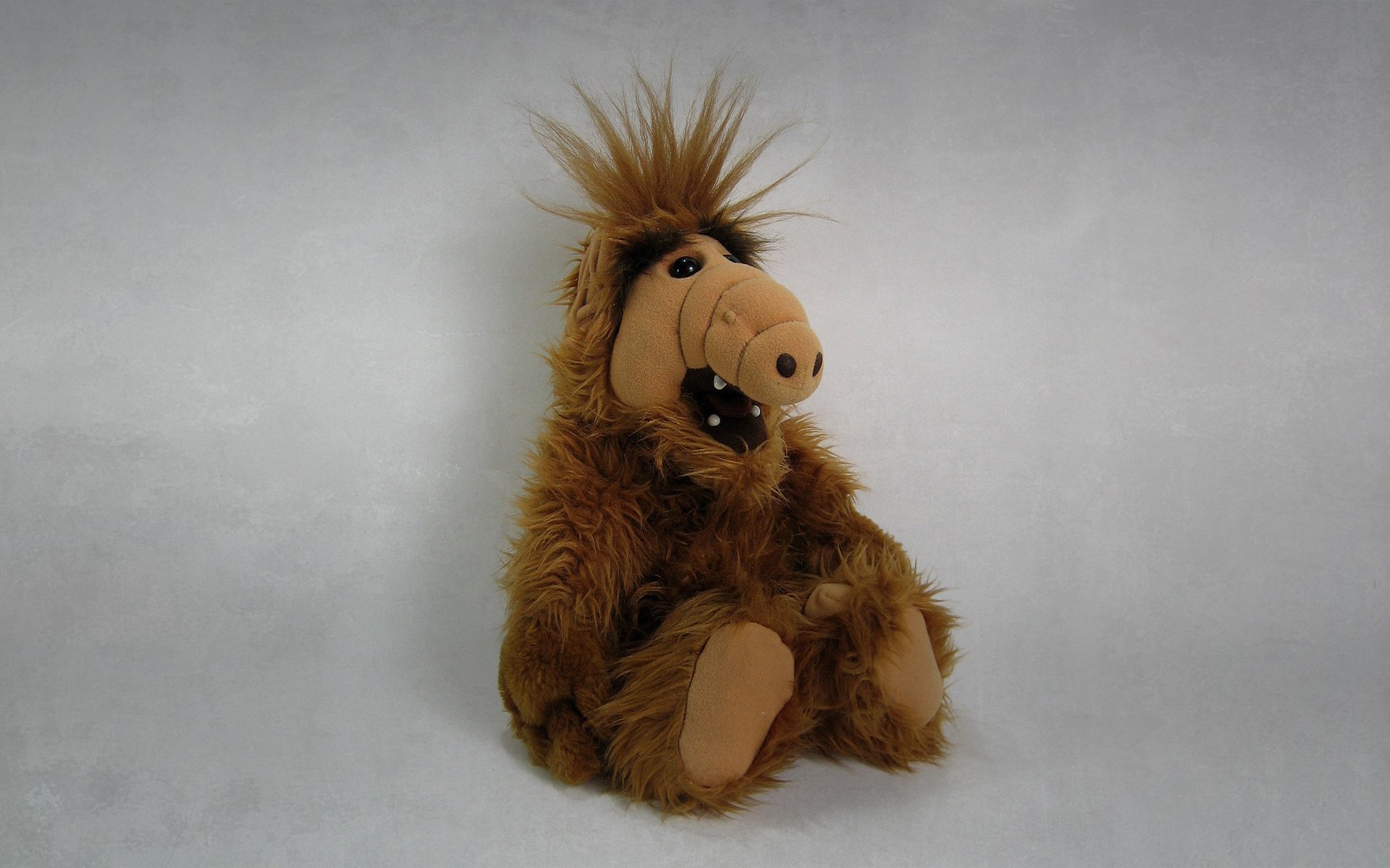 alf alf jouet assis fond sombre alien alien