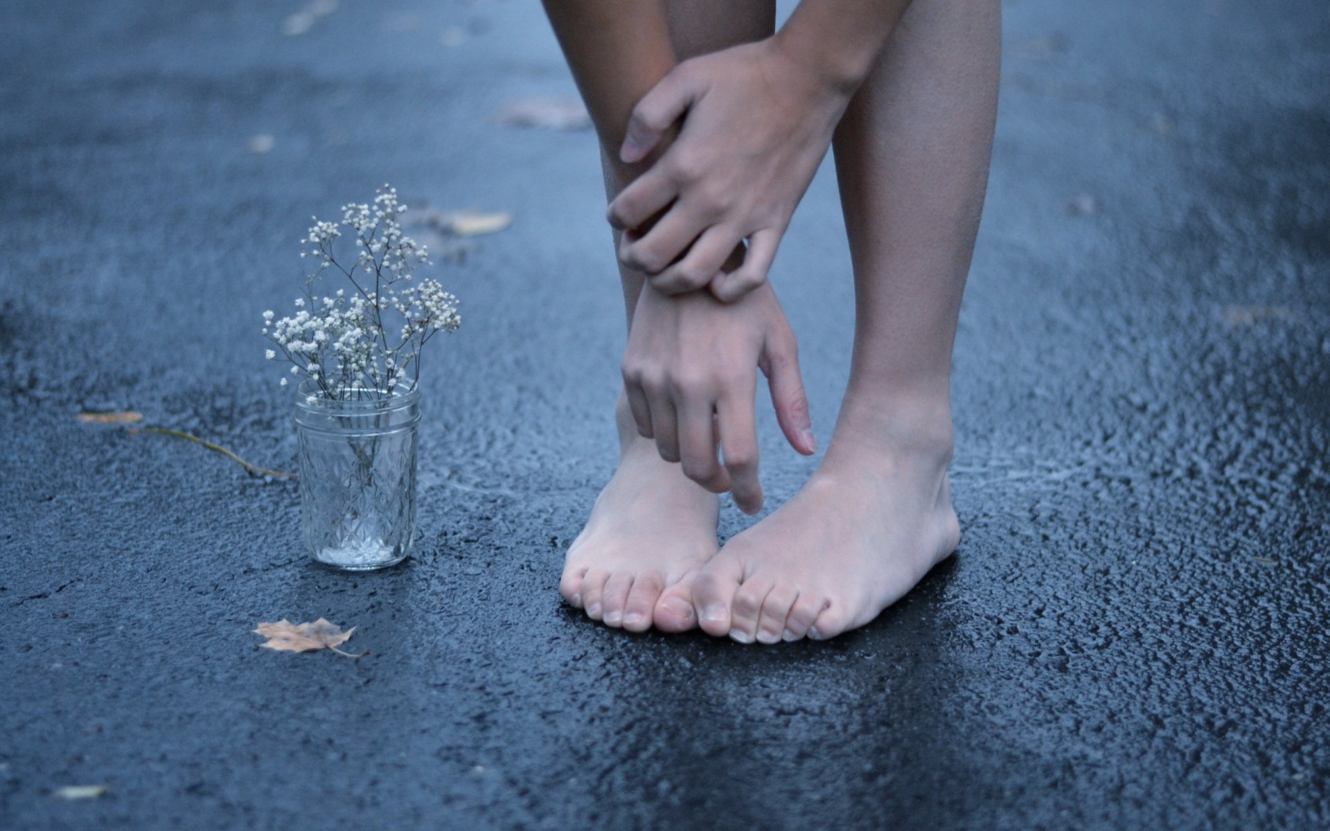 mains pieds fleur asphalte rue