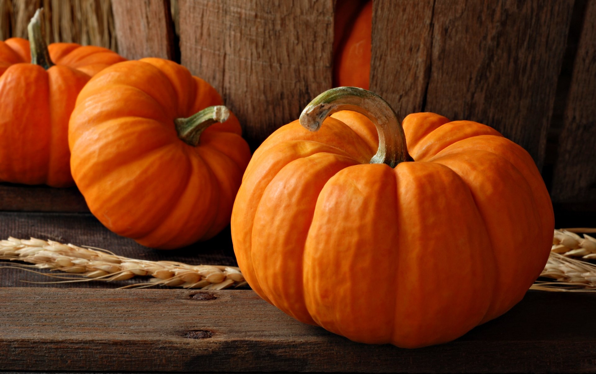 kürbisse gemüse lebensmittel herbst ähre weizen