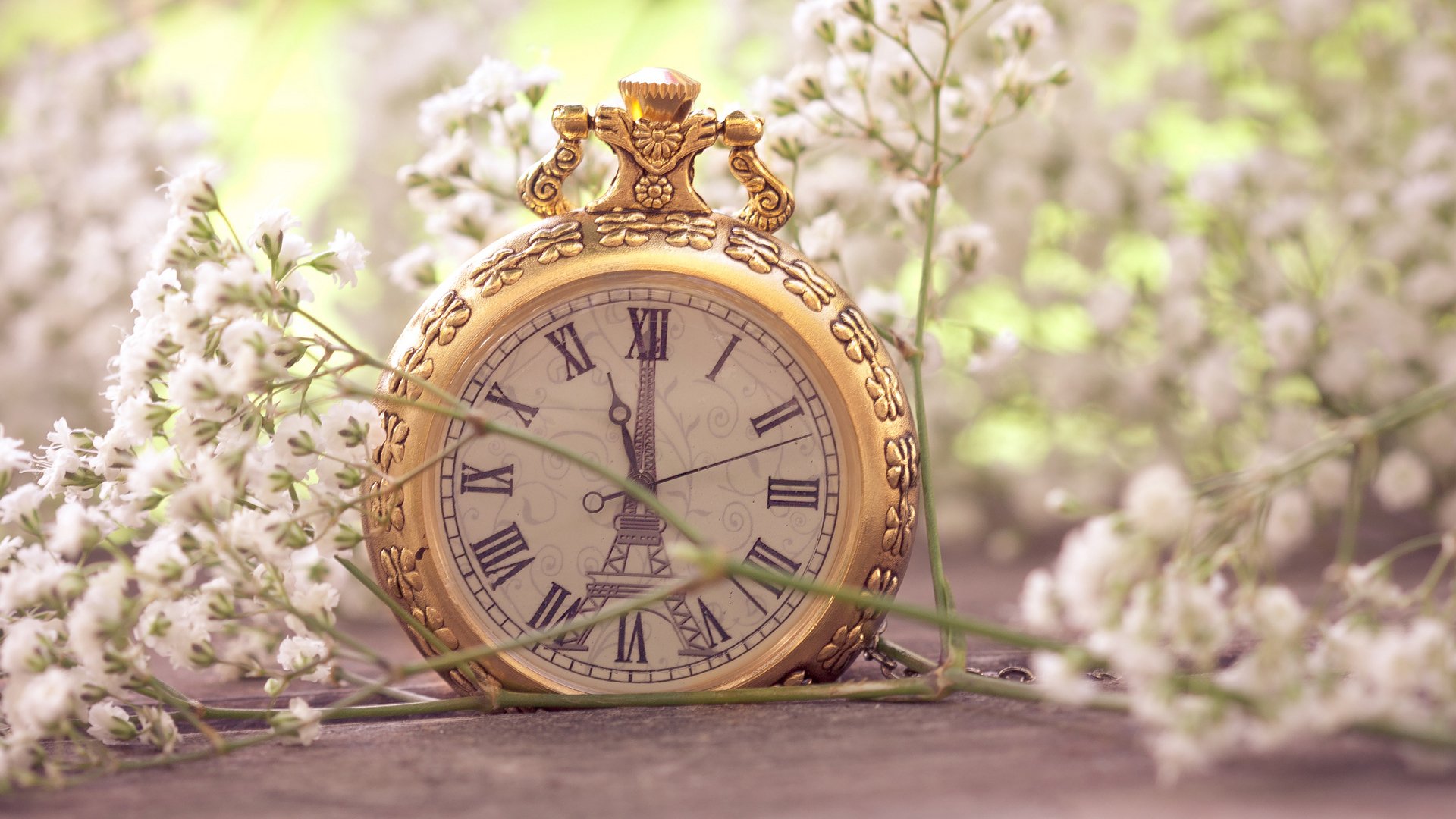 makro blumen klein weiß uhr tasche eiffelturm paris