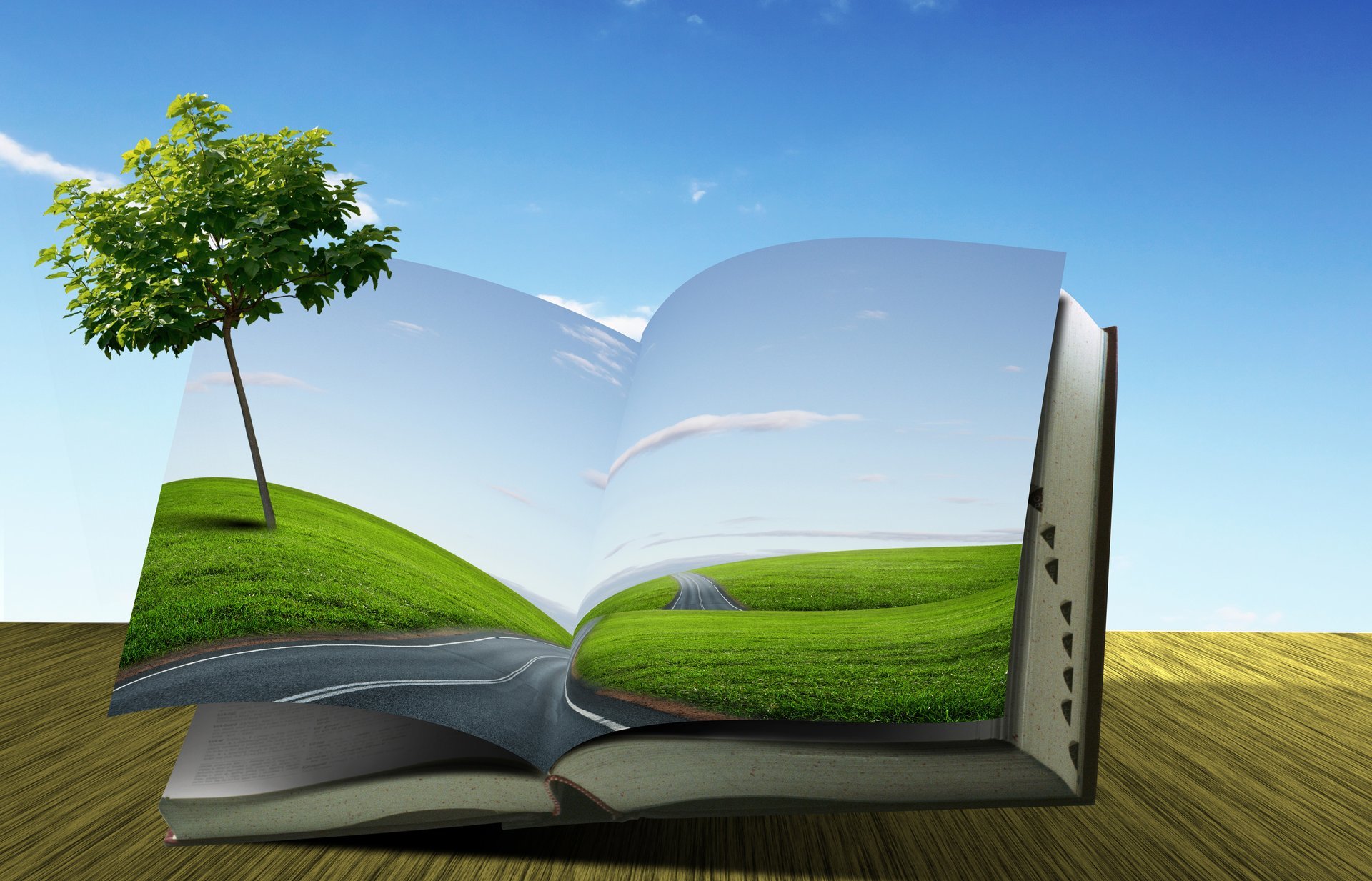 creative book road of the field tree