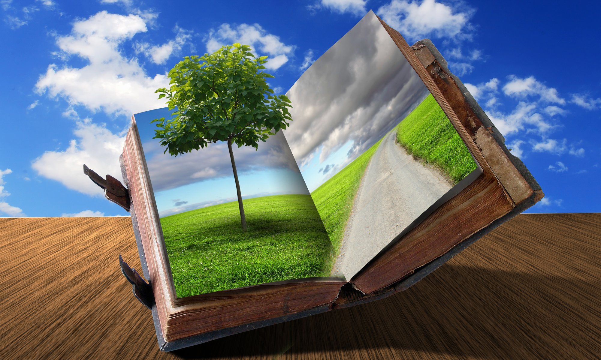 creativo libro strada albero nuvole erba