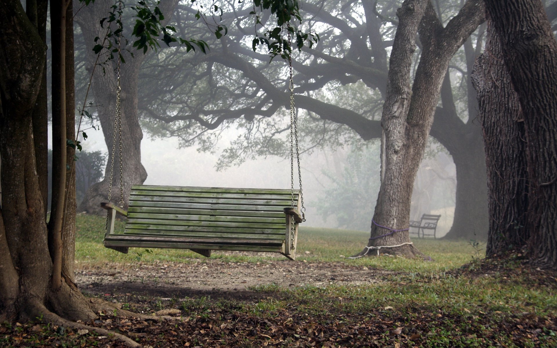 park schaukel natur