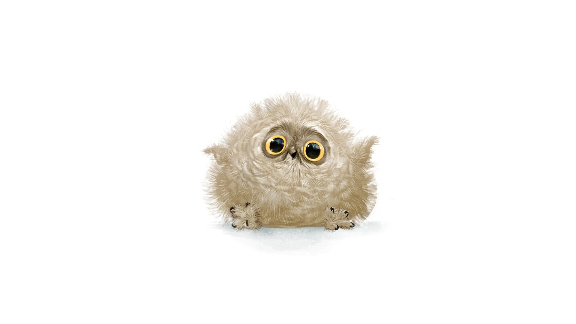 owl cute view happiness feathers white background