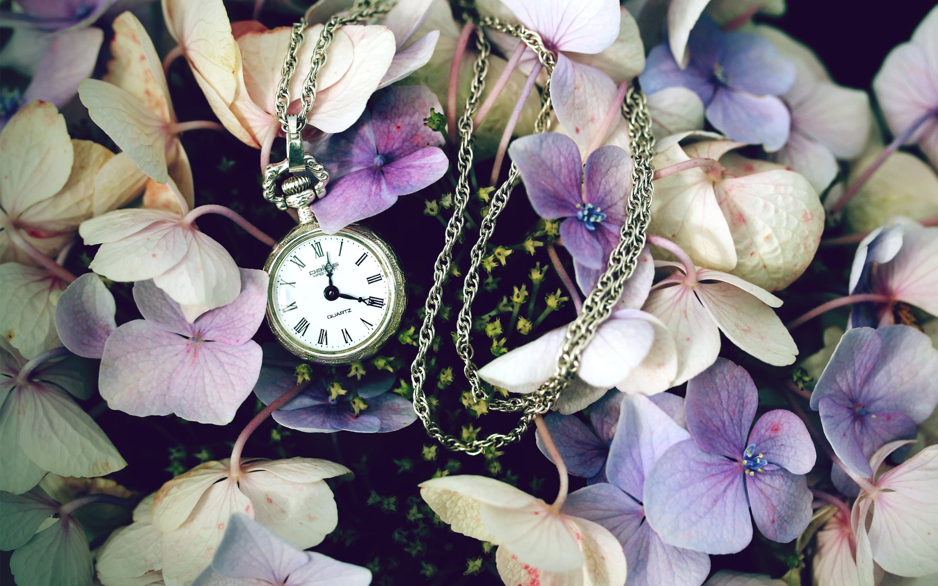 flower watches pocket field purple