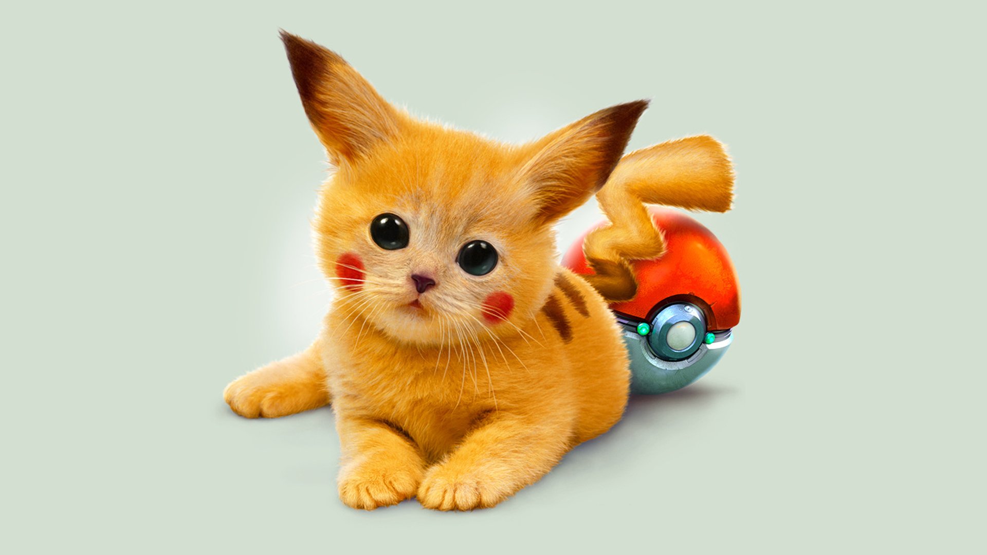 chaton rouge pokemon pikachu yeux art