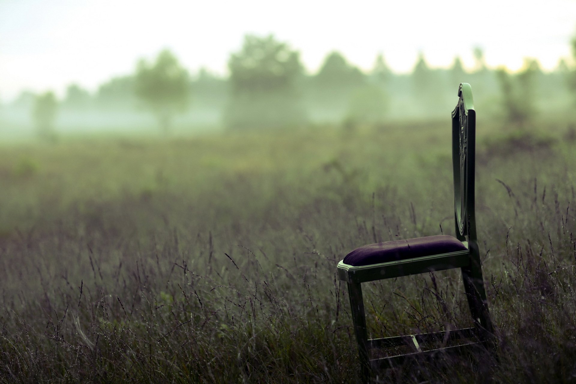 champ chaise brouillard