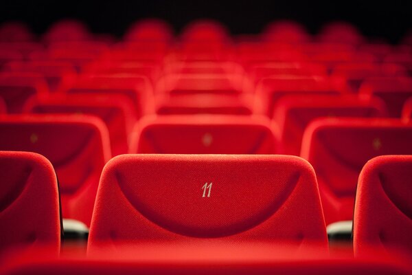 Red chairs stand in rows