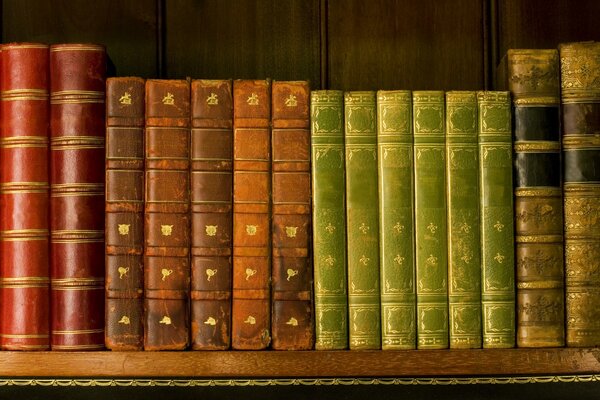 Étagère avec des livres dans une bibliothèque ancienne