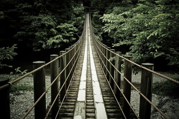 Puente sobre el río en la distancia camino a la naturaleza