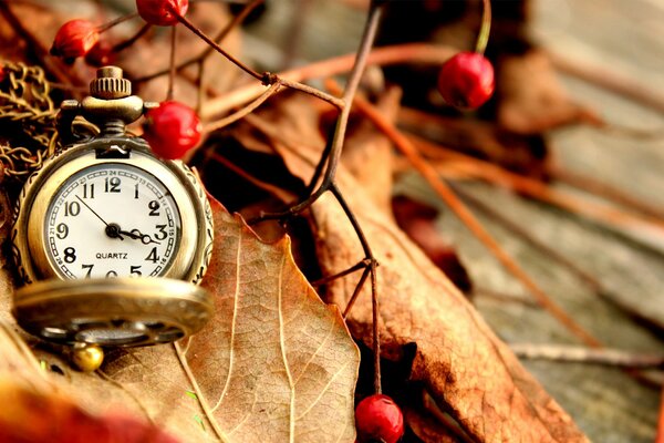 Pocket watch on the background of autumn leaves