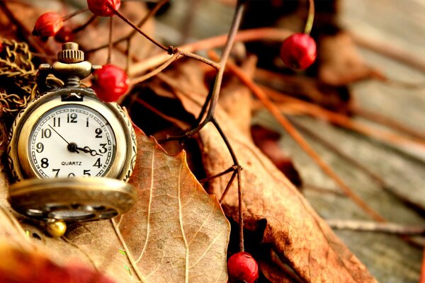 Montre de poche sur fond de feuilles d automne