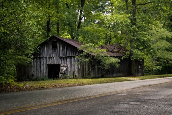 Ein einsames und verlassenes Haus im Wald