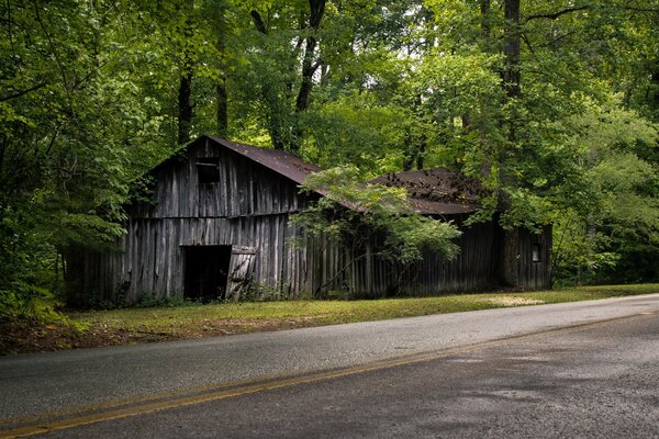 Casa solitaria y abandonada en el bosque