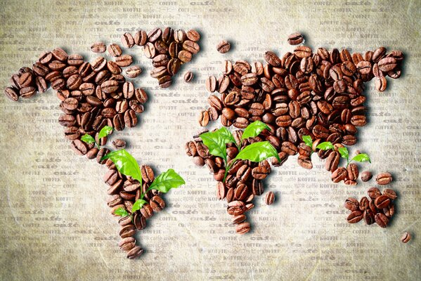 Coffee beans are poured in the form of a map of continents