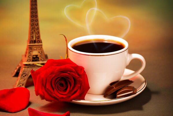 Screensaver a cup of coffee with chocolate and a rose flower