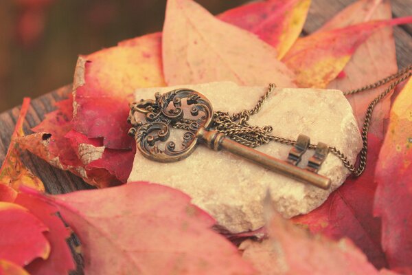 A key on a chain on the background of autumn leaves