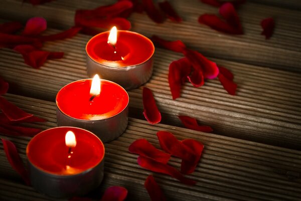 Kerzen, Blütenblätter, Romantik - für Ihre Tapete