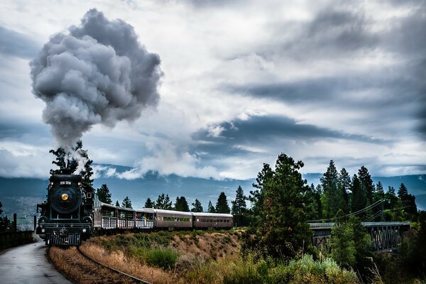 Una locomotora de vapor en un ferrocarril en el bosque que sale humo de una chimenea