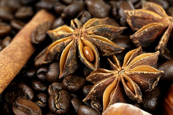 Coffee beans with cinnamon and spices