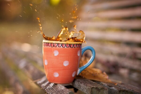 Splashes of tea on a wooden bench