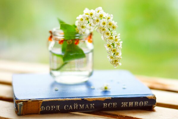 Ein Glas mit einem Zweig weißer Blumen und ein Buch von Ford Simon