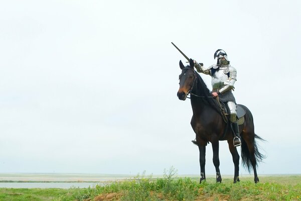 Hermoso Caballero con armadura a caballo