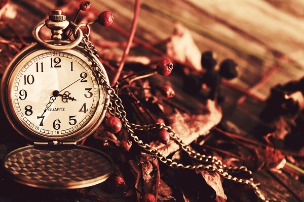 Pocket watch on the background of autumn dried flowers