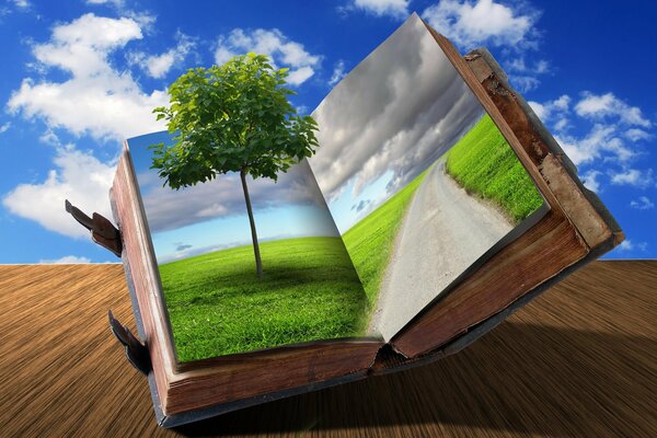 Baum und Straße auf den Seiten des Buches