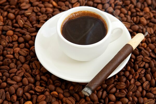 Taza de café en granos de café y cigarro de color café