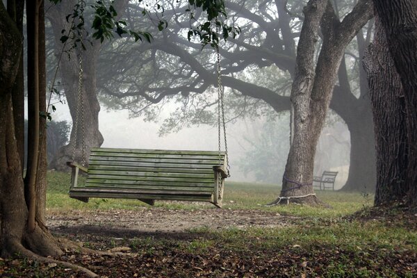 Columpio sobre cuerdas en el viejo parque