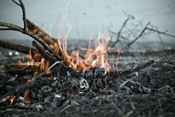 Feu de joie avec des charbons ardents et des branches