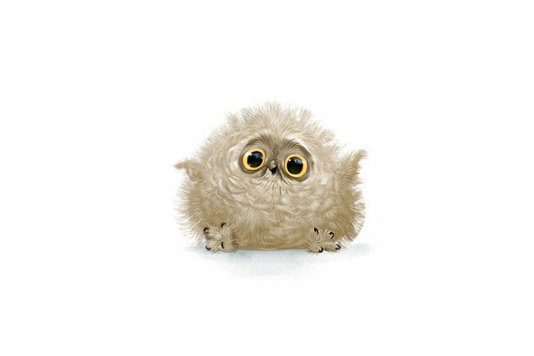 Cute owl on a white background with a sad look